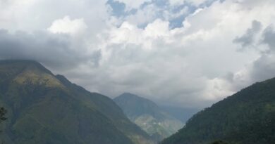 बेमौसम बारिश से पिंडर घाटी की नकदी फसलों पर संकट