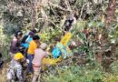 थराली के गांव में तारबाड़ में फंसा भालू, वन विभाग ने सुरक्षित बचाया, see rescue operation