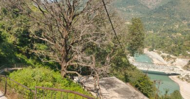बंदरखंड प्राथमिक विद्यालय पर मंडरा रहा सूखे पेड़ का खतरा, धन के अभाव में नहीं हो रही कटाई