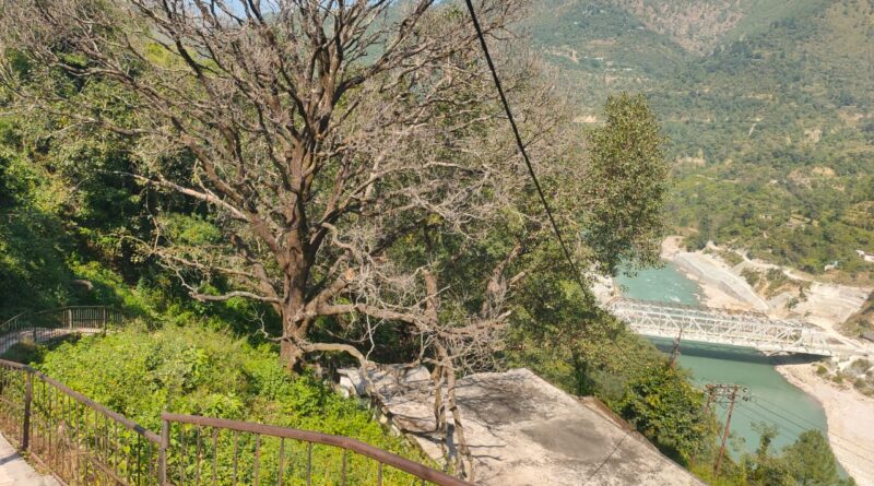बंदरखंड प्राथमिक विद्यालय पर मंडरा रहा सूखे पेड़ का खतरा, धन के अभाव में नहीं हो रही कटाई