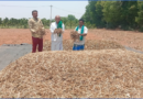 Minimum Support Price for Rabi: Marketing Season 2027-28