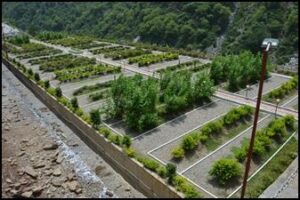 Soil Biotechnology-based STP at Devprayag